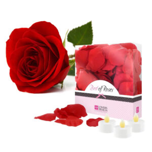 LoversPremium - sada lupenů růže (103 dílná) - červená