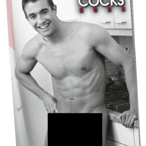 Pin-up Calendar HC Real Cocks - Pack of 10
