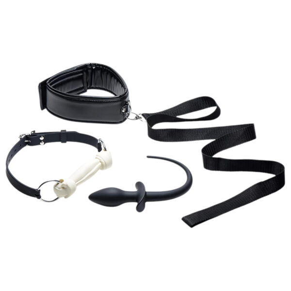 TAILZ Štěněcí Hráčský Set - anální dildo sada (4 kusy)
