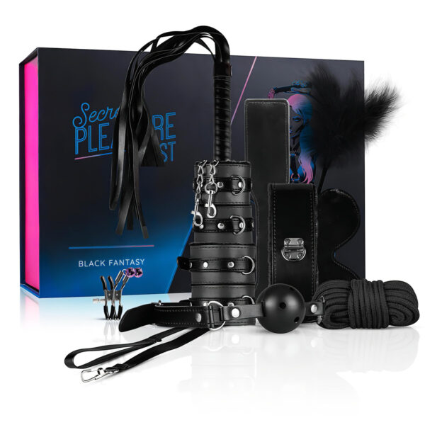 Secret Pleasure Chest - pokročilá BDSM sada - 14 dílů (černá)