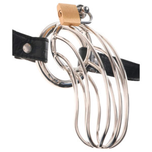 Fetish The Prisoner - kovová klec na penis (stříbrná)