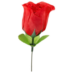 Panty Rose - tanga v růži - červená - S-L